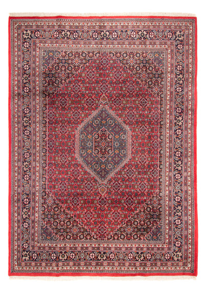 Indo Bidjar Dywan 251x338cm - Dywan orientalny - czerwony