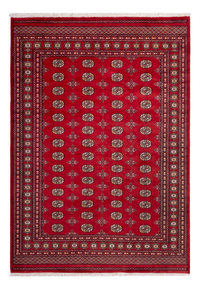 Bukhara Dywan 206x292cm - Dywan orientalny