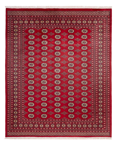 Bukhara Dywan 244x305cm - Dywan orientalny