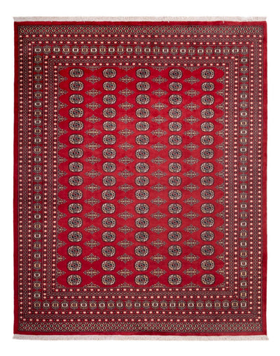 Bukhara Dywan 248x315cm - Dywan orientalny