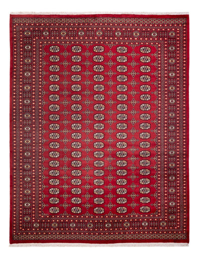 Bukhara Dywan 245x312cm - Dywan orientalny