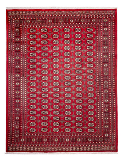 Bukhara Dywan 243x311cm - Dywan orientalny
