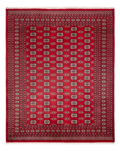 Bukhara Dywan 247x307cm - Dywan orientalny