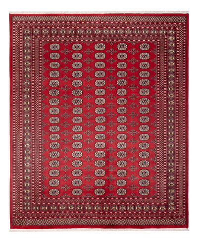 Bukhara Dywan 243x298cm - Dywan orientalny