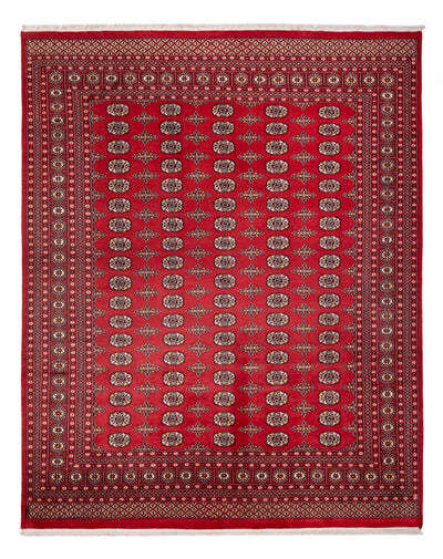 Bukhara Dywan 244x312cm - Dywan orientalny