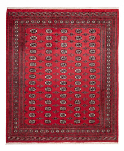 Bukhara Dywan 246x305cm - Dywan orientalny