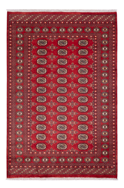 Dywan pakistański 158x237cm - Dywan orientalny