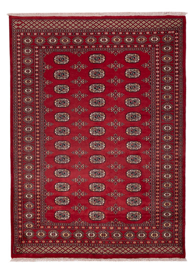 Dywan pakistański 171x240cm - Dywan orientalny