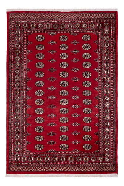 Dywan pakistański 164x239cm - Dywan orientalny