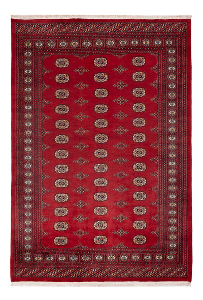 Dywan pakistański 165x235cm - Dywan orientalny