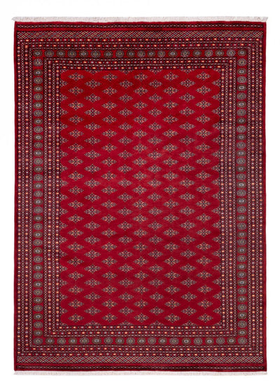 Bukhara Dywan 253x350cm - Dywan orientalny