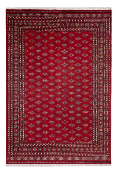 Bukhara Dywan 249x365cm - Dywan orientalny