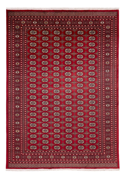 Bukhara Dywan 241x346cm - Dywan orientalny