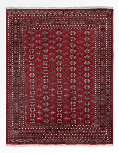 Dywan pakistański 248x318cm - Dywan orientalny
