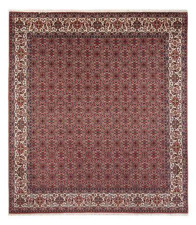 Bidjar - Bukan Dywan 248x296cm - Dywan perski