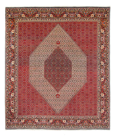 Bidjar - Takab Dywan 253x300cm - Dywan perski