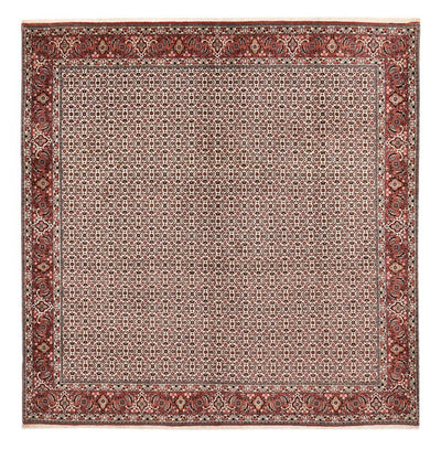 Bidjar Dywan 304x306cm - Dywan perski