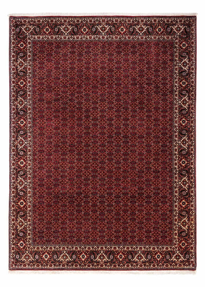 Bidjar - Zanjan Dywan 250x350cm - Dywan perski