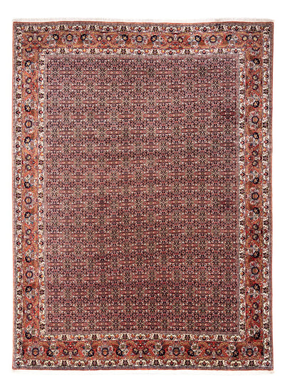 Bidjar - Takab Dywan 248x332cm - Dywan perski