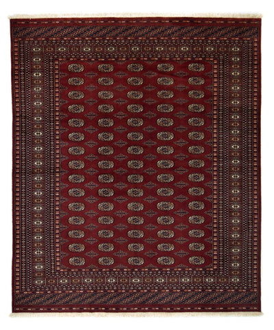 Bukhara Dywan 205x244cm - Dywan orientalny