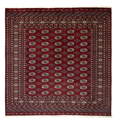 Bukhara Dywan 199x203cm - Dywan orientalny