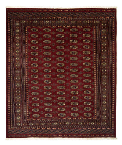Bukhara Dywan 203x240cm - Dywan orientalny