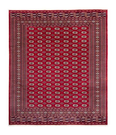 Bukhara Dywan 253x303cm - Dywan orientalny