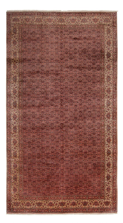Bidjar - Takab Dywan 256x482cm - Dywan perski - brązowy