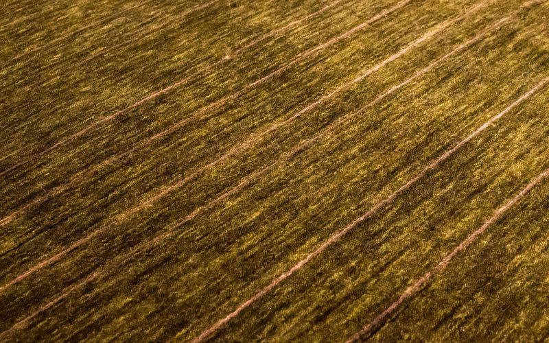 Dywan wełniany - 220 x 160 cm - brązowy