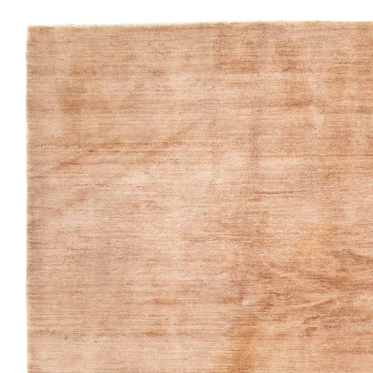 Dywan Ziegler - Modern - 300 x 200 cm - beżowy