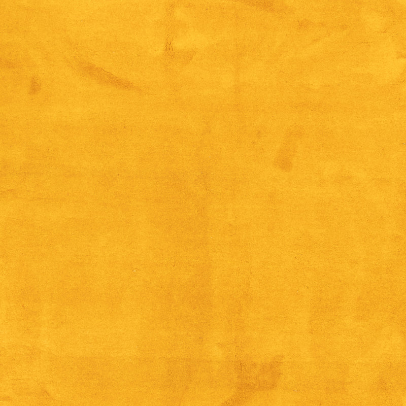 Dywan Gabbeh - Indus - 389 x 300 cm - złoto