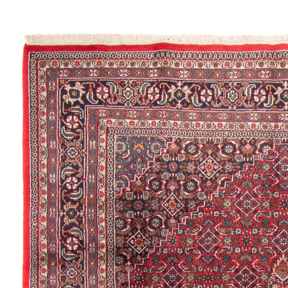 Indo Bidjar Dywan 338x251cm - Dywan orientalny
