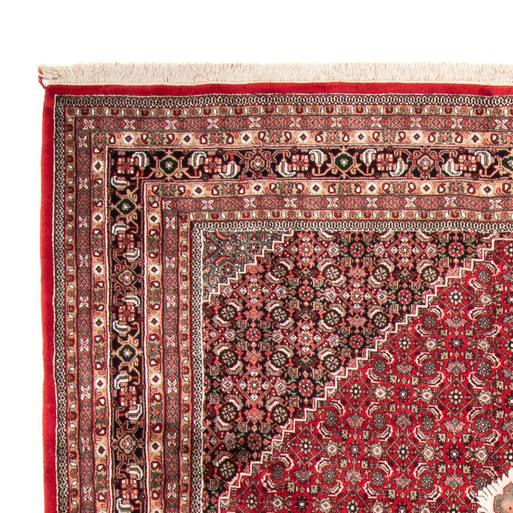 Indo Bidjar Dywan 255x361cm - Dywan orientalny