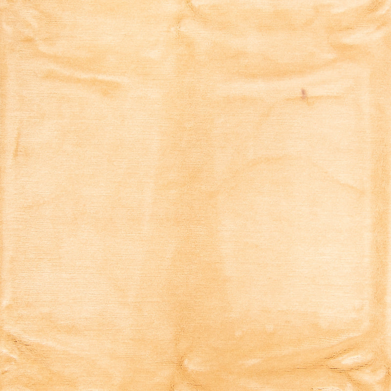 Dywan z Nepalu - Royal - 350 x 249 cm - złoto