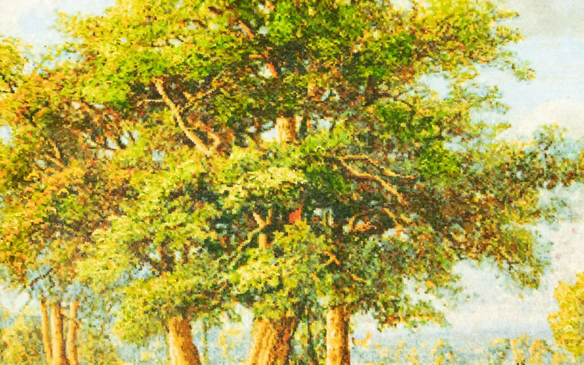 Dywan z obrazkami - 116 x 84 cm - wielokolorowy