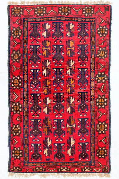 Dywan beludżycki 74x130cm - Dywan orientalny