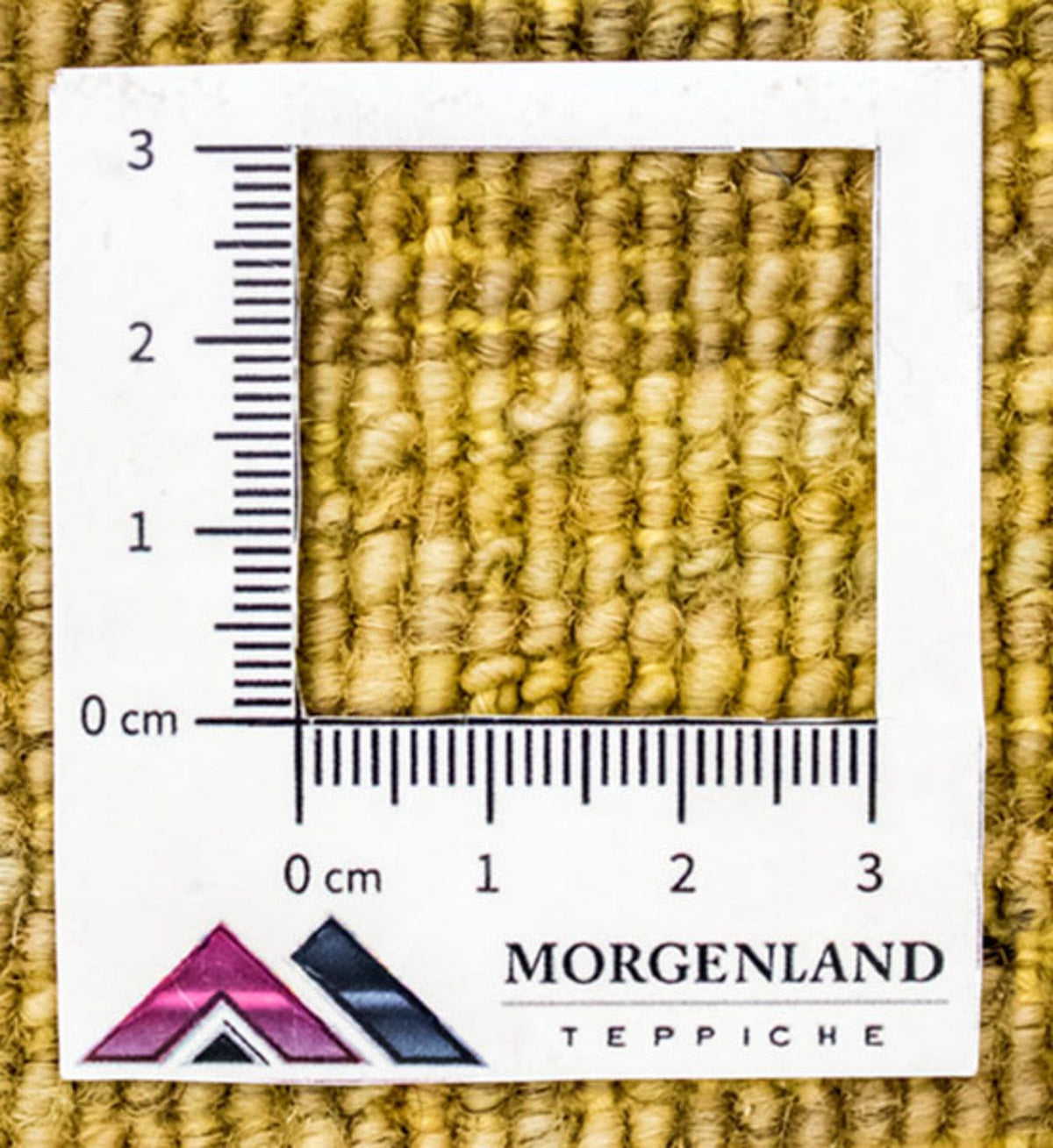 Dywan Ziegler - Modern - 268 x 183 cm - wielokolorowy