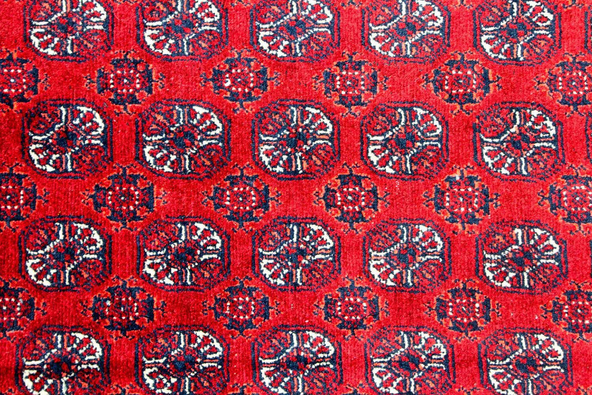 Afgański dywan - Bukhara - 300 x 195 cm - czerwony