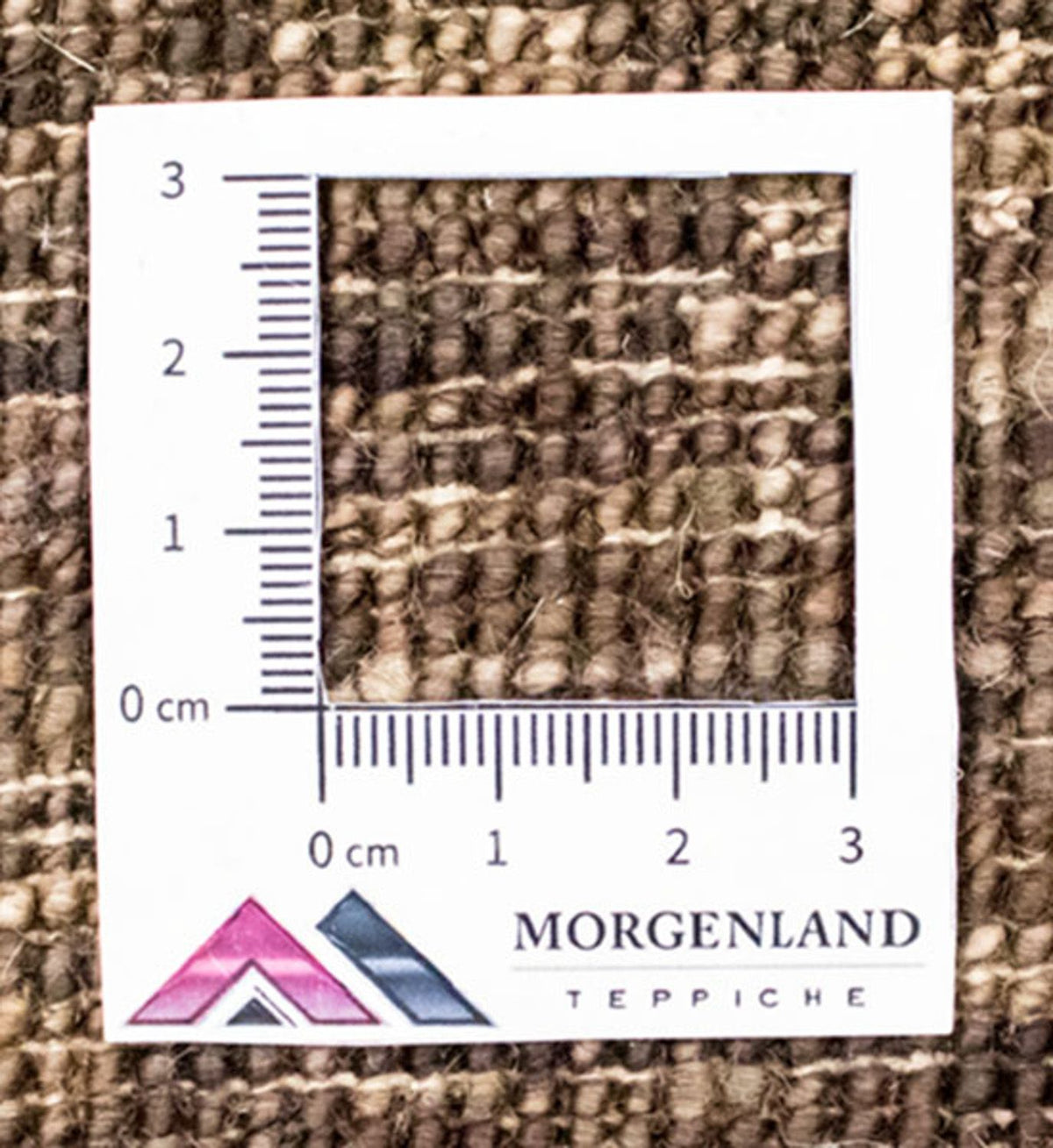 Dywan Ziegler - Modern - 330 x 269 cm - wielokolorowy