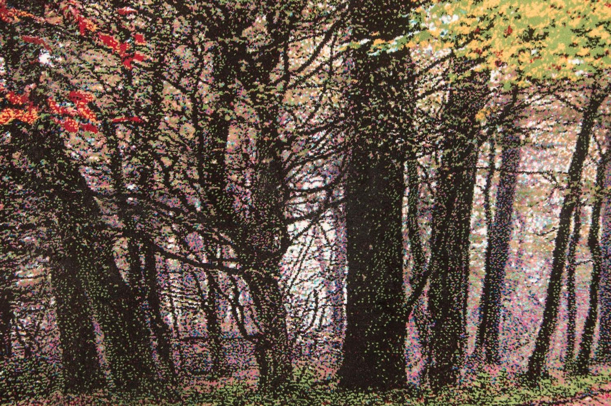 Bild-Teppich 110 x 63 cm Teppichbrücke