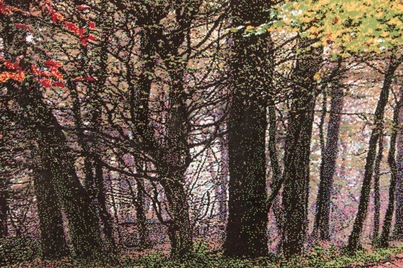 Bild-Teppich 110 x 63 cm Teppichbrücke