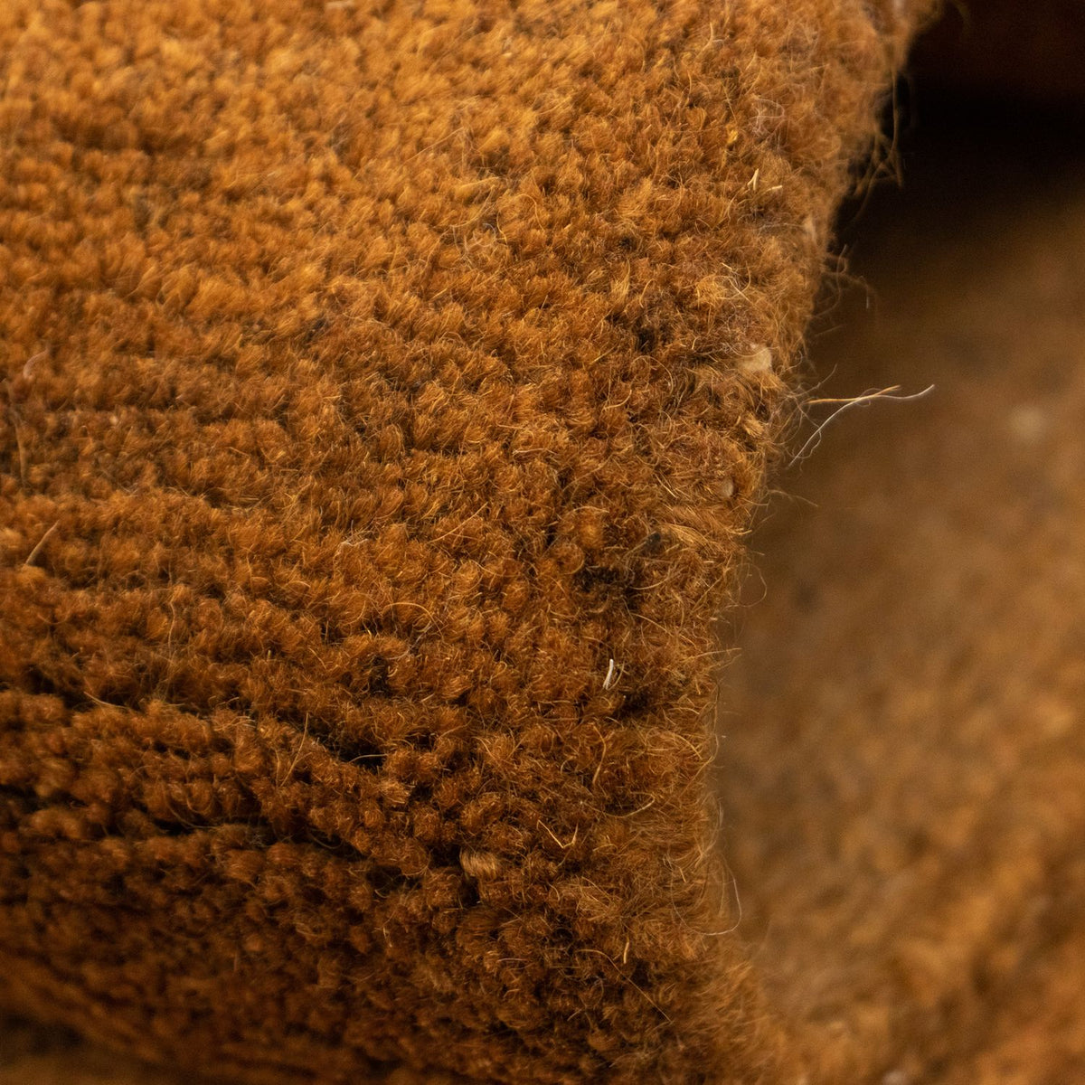 Dywan z Nepalu - 340 x 248 cm - brązowy