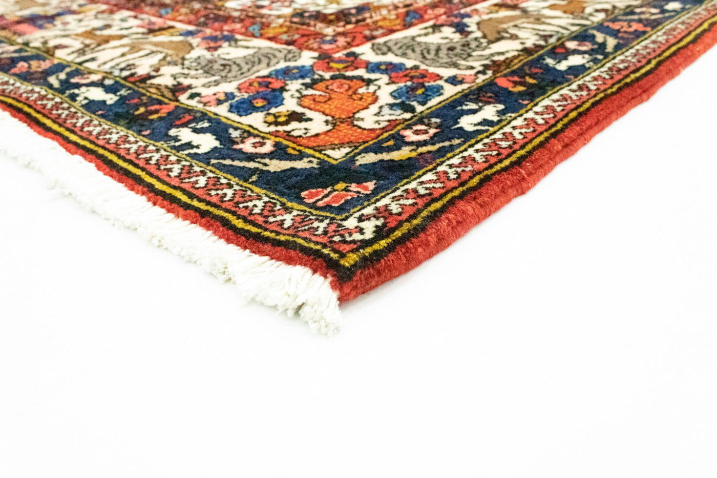 Bakhtiari Dywan 315x207cm - Dywan perski