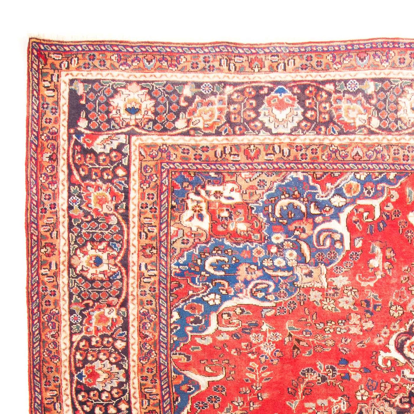 Mashhad Dywan 300x247cm - Dywan perski