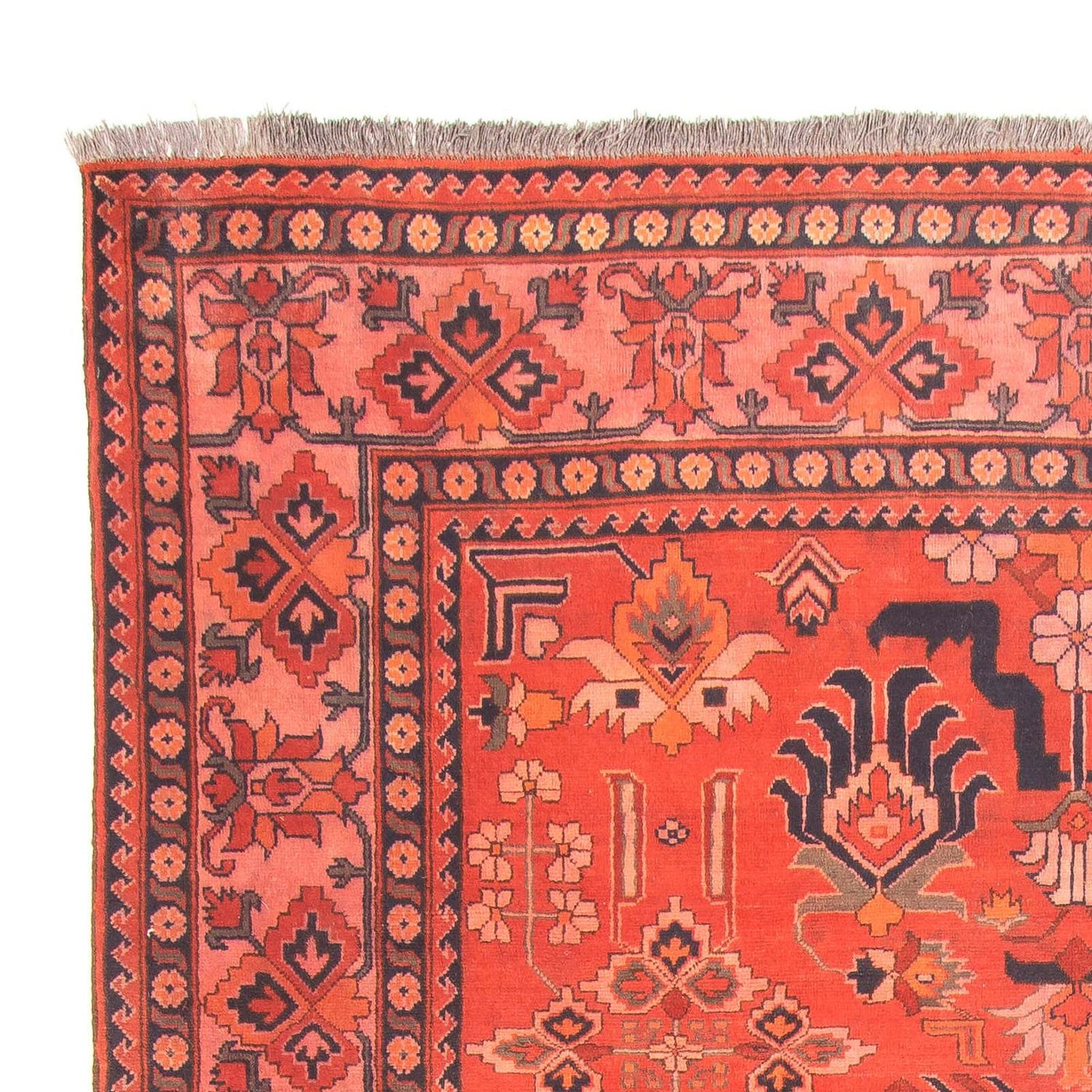 Hatchlu Dywan 280x200cm - Dywan orientalny
