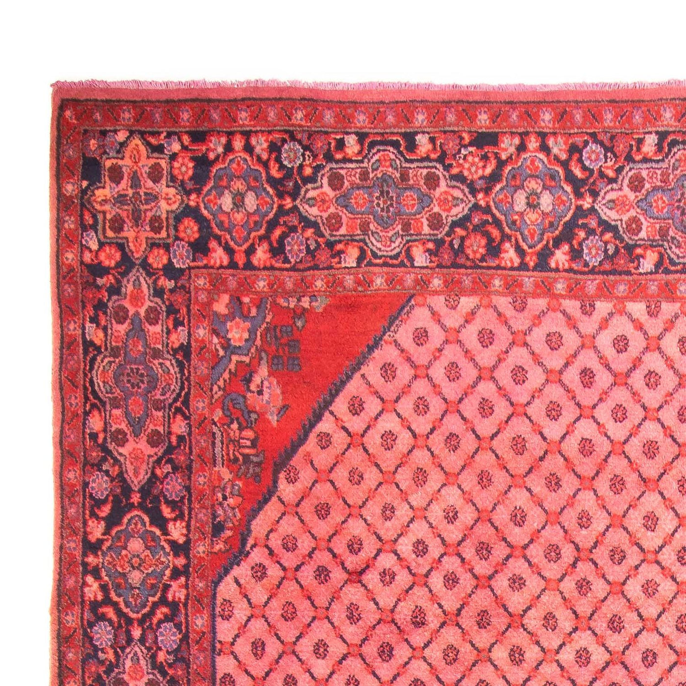 Kolyai Dywan 290x210cm - Dywan perski