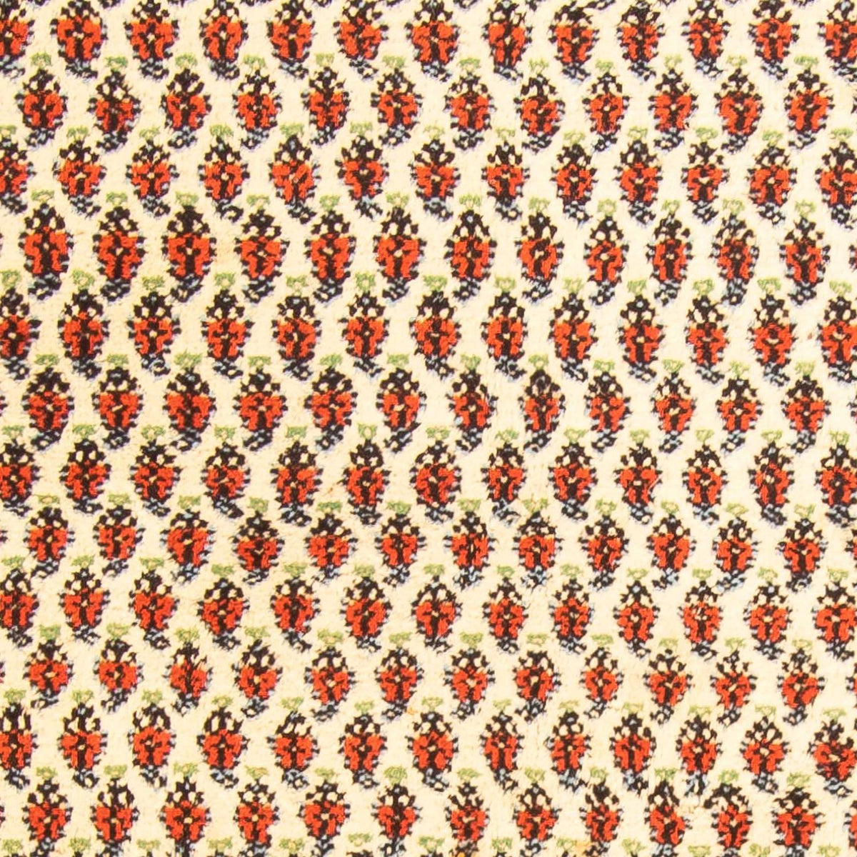 Dywan orientalny - Mir - Indus - 238 x 174 cm - beżowy