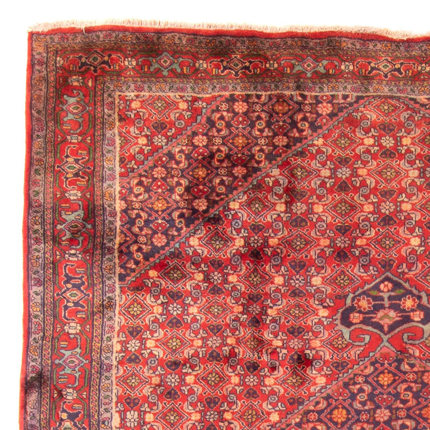 Ardabil Dywan 290x203cm - Dywan perski