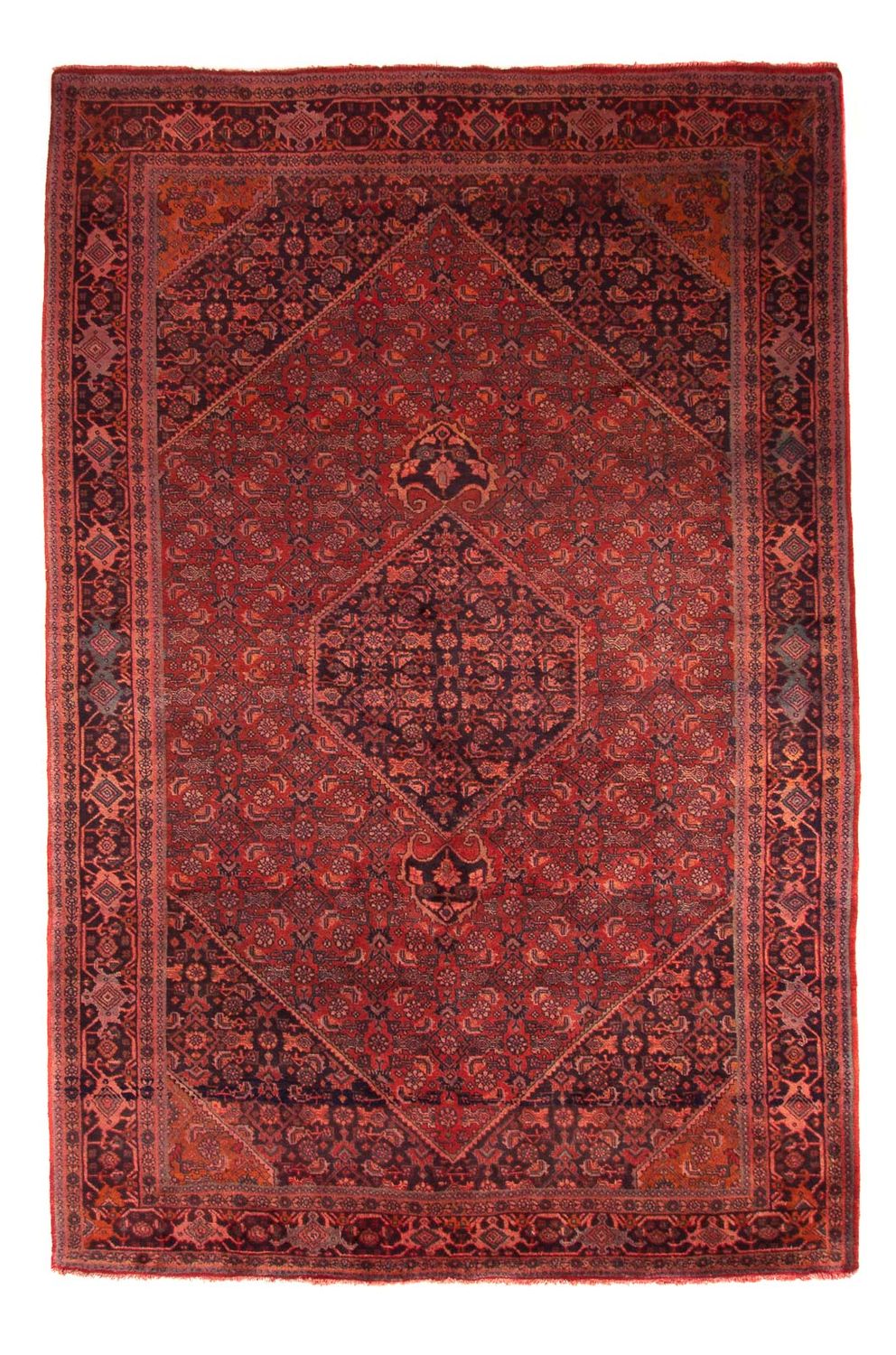 Perski dywan - Bijar - Royal - 327 x 220 cm - ciemna czerwień