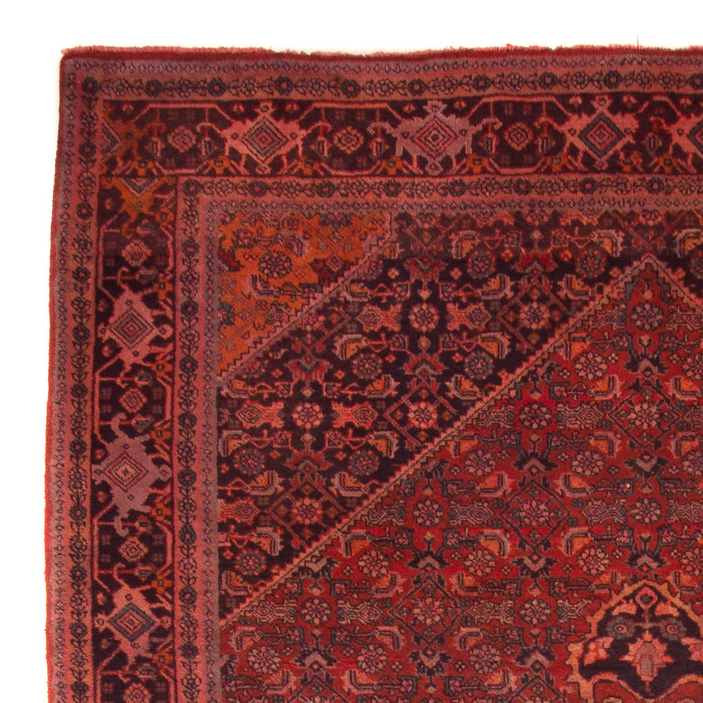 Bidjar - Takab Dywan 327x220cm - Dywan perski